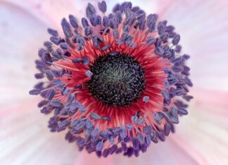 Jak sprawdzić czy grafika ma prawa autorskie?