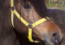 W jakim kantorze najbardziej się opłaca?