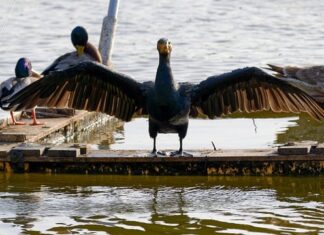 Ile wynosi rata kredytu 200 tys na 20 lat? Ile wynosi rata kredytu 200 tys na 20 lat?