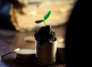 Kto płaci najwyższe dywidendy?