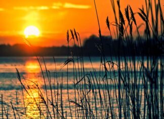 Jak wycenić instrumenty finansowe? Jak wycenić instrumenty finansowe?