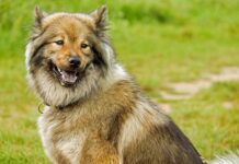 Od jakiej średniej zdaje się klasę?