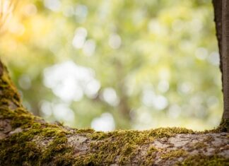 Czy dziecko obniża zdolność kredytową? Czy dziecko obniża zdolność kredytową?