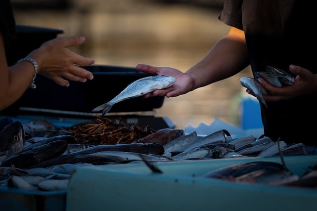 Co opłaca się sprzedawać? Co opłaca się sprzedawać?