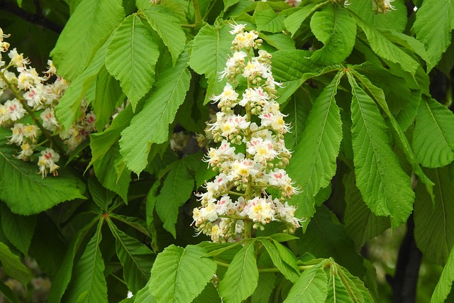 Jaka matura na marketing? Jaka matura na marketing?