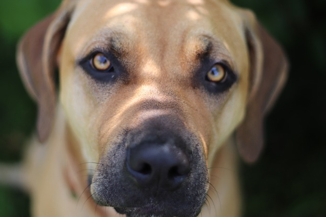 Jak witać się po hiszpańsku? Jak witać się po hiszpańsku?