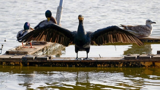 Kiedy zaczną spadać raty kredytu? Kiedy zaczną spadać raty kredytu?