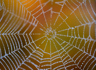 Ile to jest netto 5000 brutto?