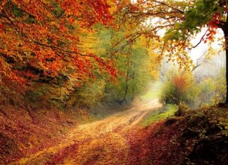 Od którego roku było 8 klas?