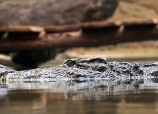 Jakie są zasady komunikacji? Jakie są zasady komunikacji?