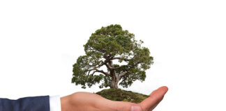 Czym jest kreowanie wizerunku